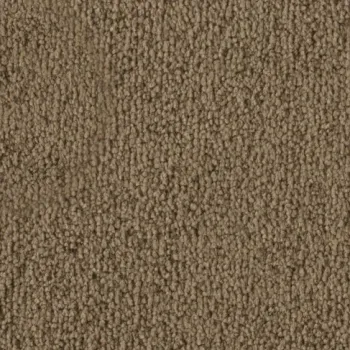 Vorwerk Safira Teppichboden Farbcode 2F96 – Draufsicht ohne Etikett